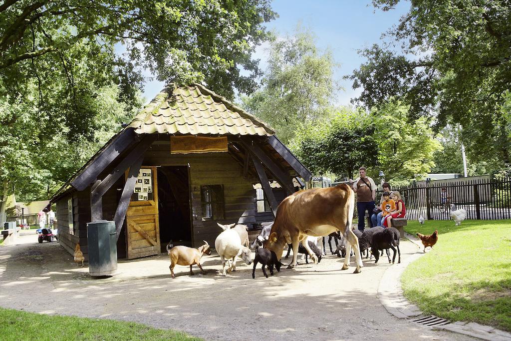 Center Parcs Meerdal Limburg-Brabant America Exterior photo