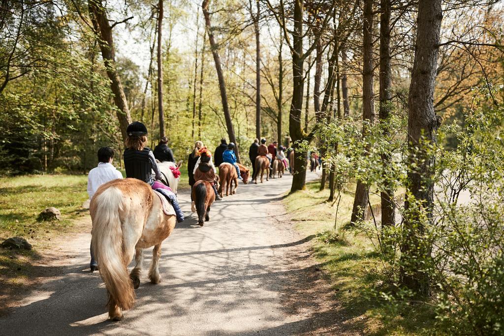 Center Parcs Meerdal Limburg-Brabant America Exterior photo